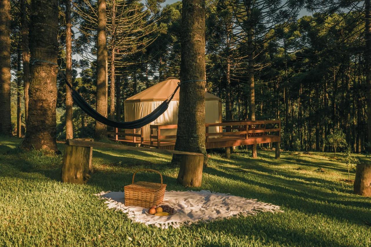 Estancia Las Araucarias Canela Eksteriør bilde