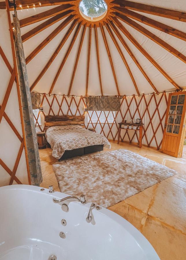 Estancia Las Araucarias Canela Eksteriør bilde