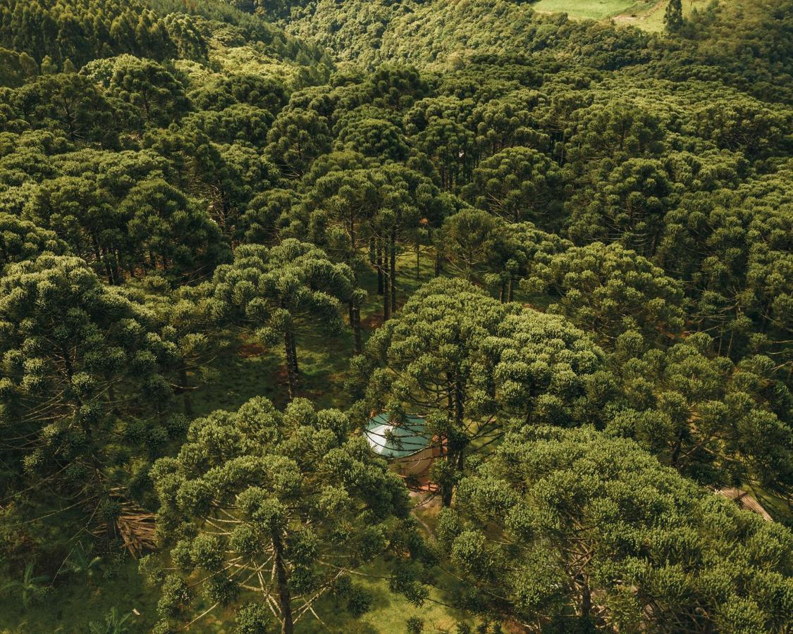 Estancia Las Araucarias Canela Eksteriør bilde