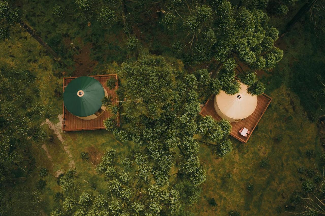 Estancia Las Araucarias Canela Eksteriør bilde